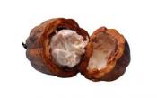 How To Reduce Scars With Cocoa Butter